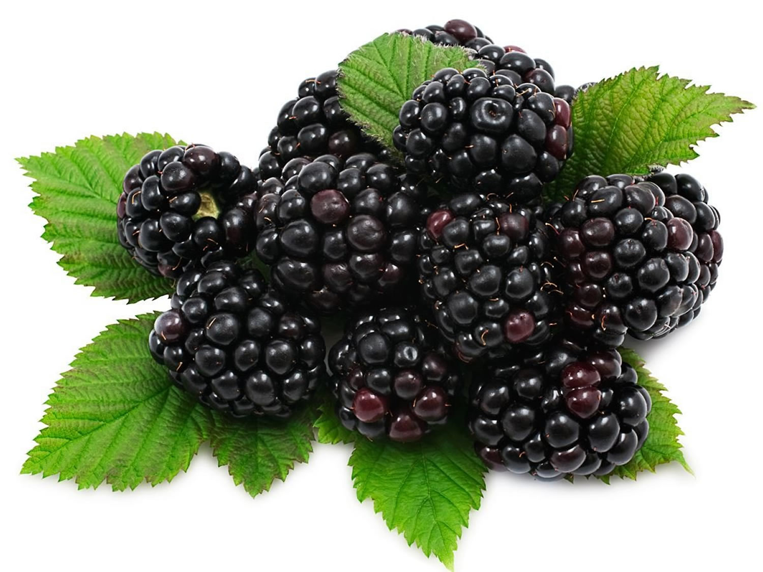 Blackberry Vanilla Bourbon Smash