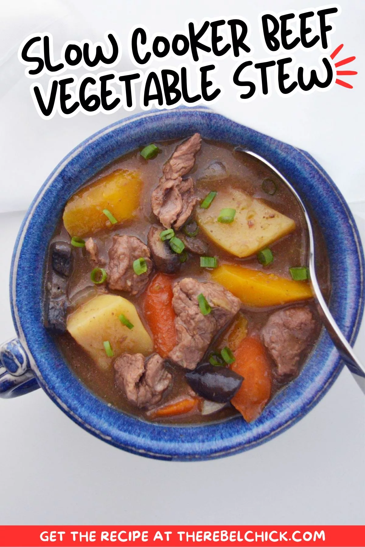 Census-Style Slow Cooker Beef and Vegetable Stew
