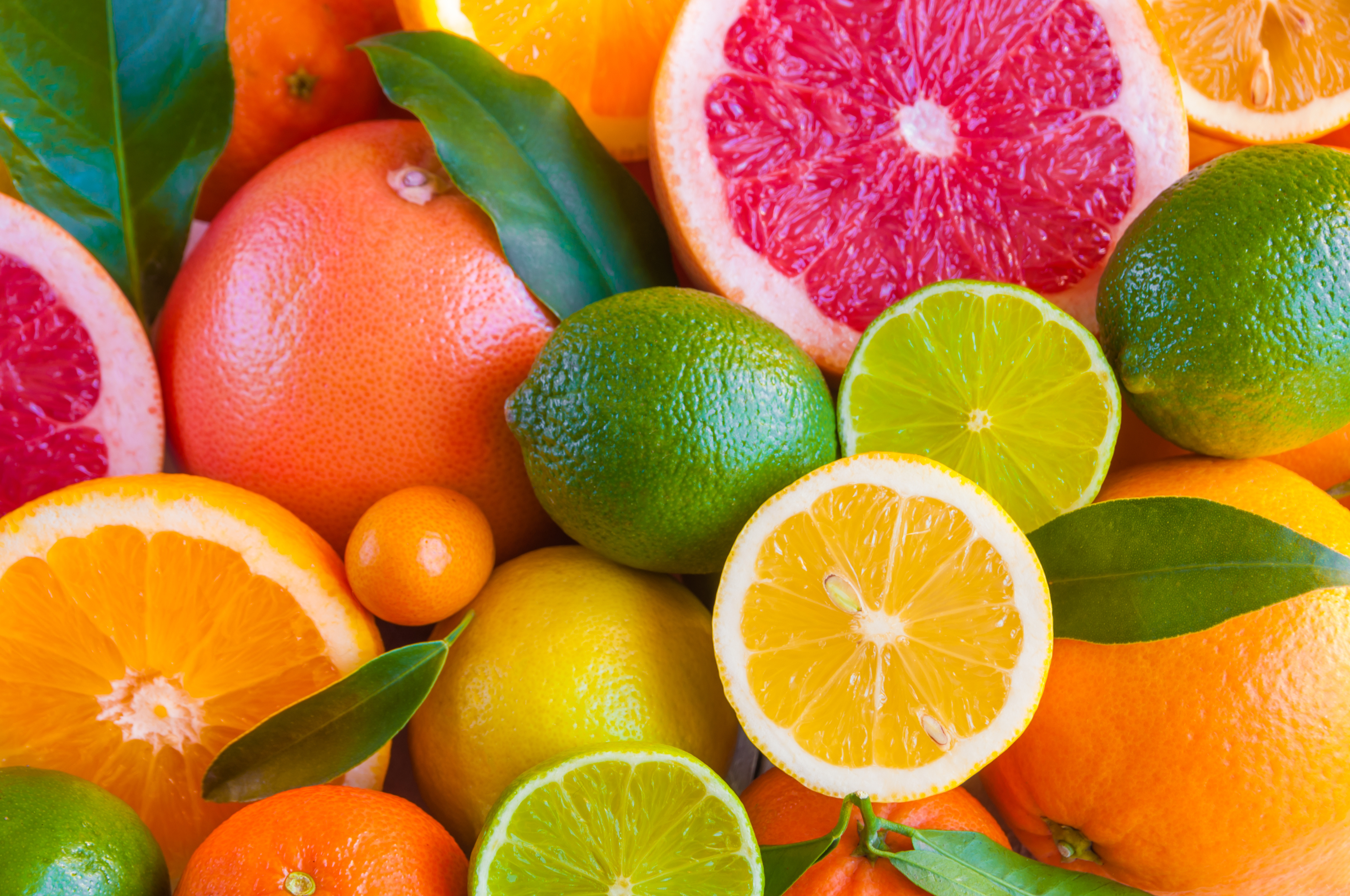 Citrus-Infused Vodka Lime Fizz