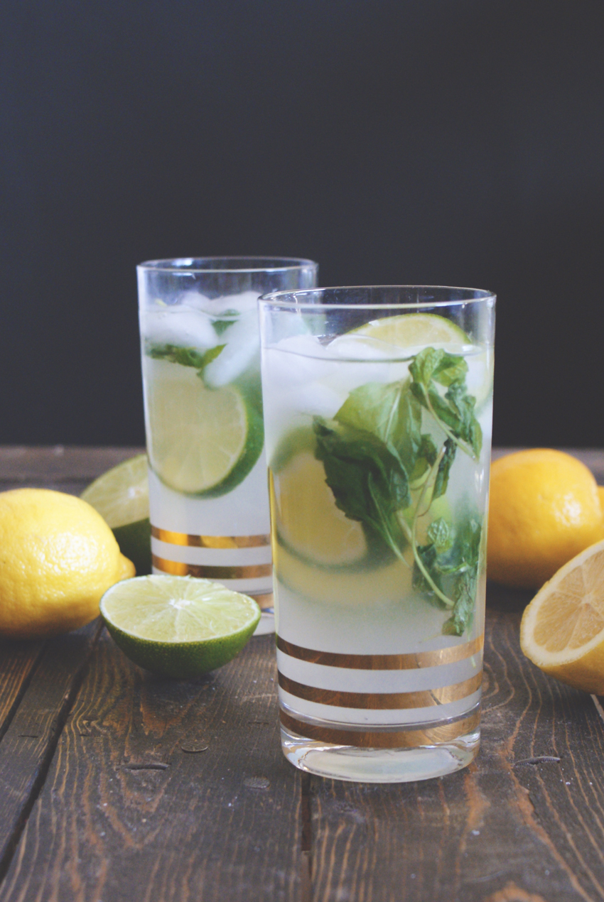 Minted Lime Vodka Fizz
