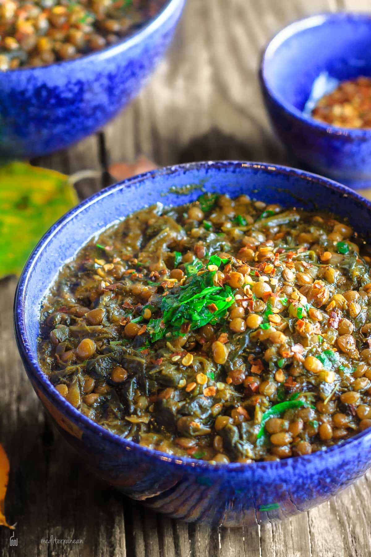 Lentil and Vegetable Khichdi with Turmeric and Cumin