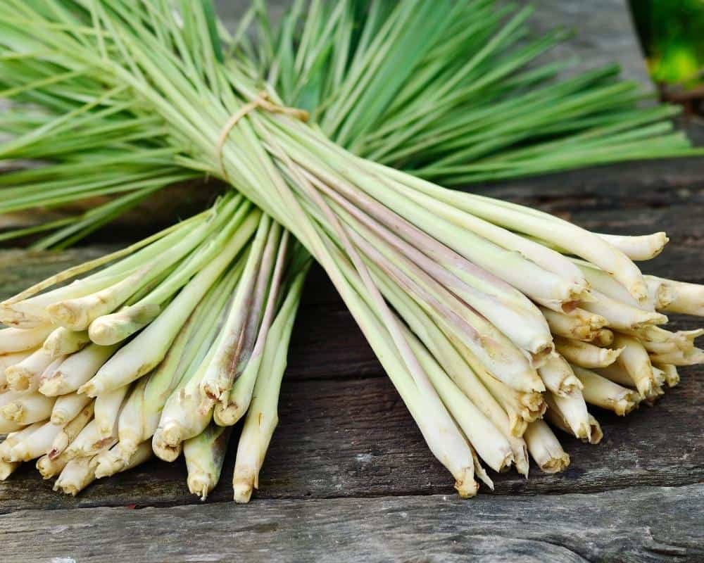 Lemongrass Coconut Thai Cooler