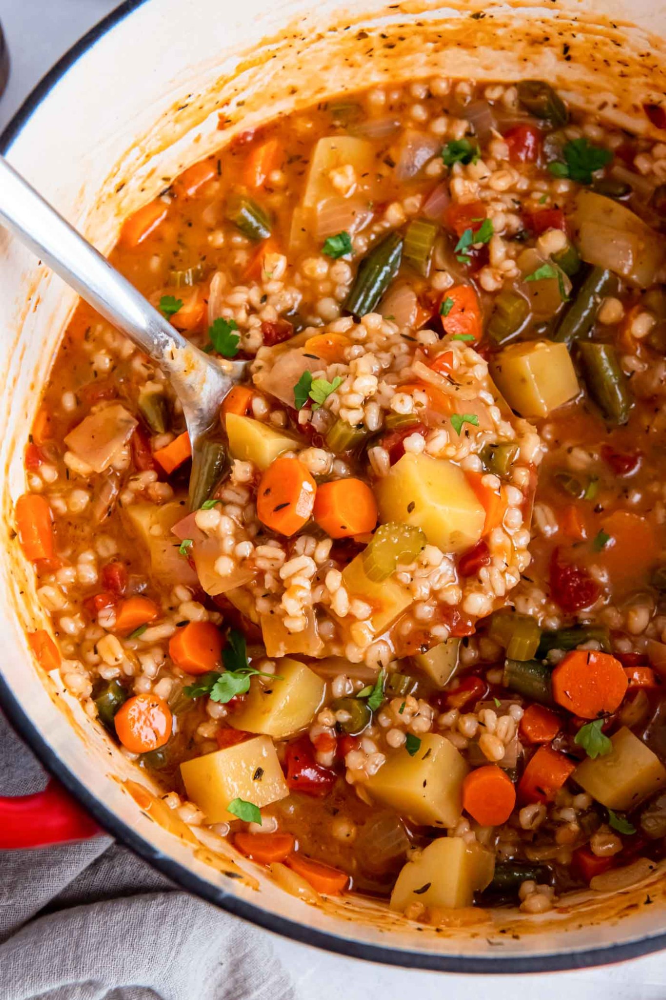 Northern-Inspired Root Vegetable and Barley Soup