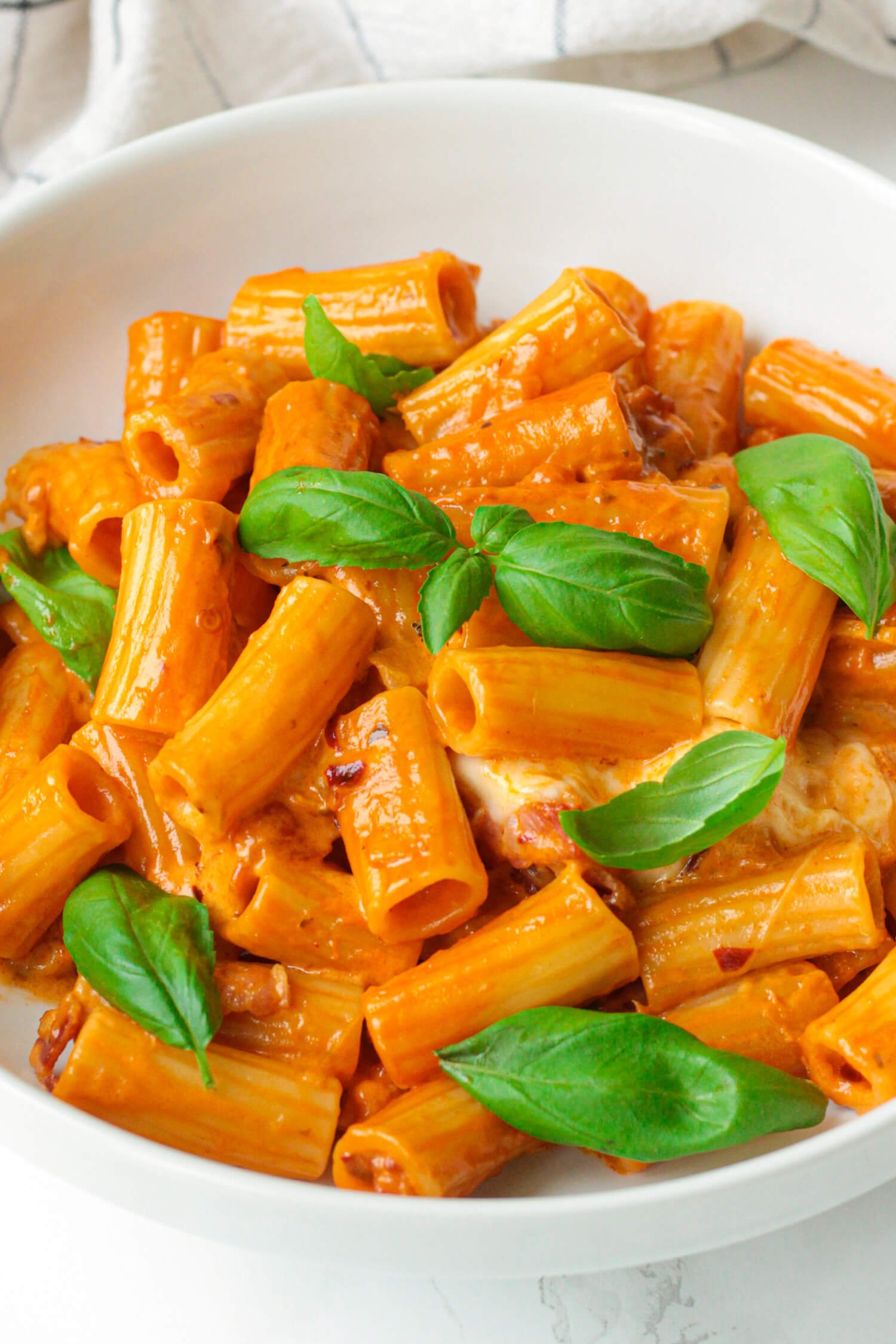 One-Pot Tomato and Milk Pasta with Mozzarella