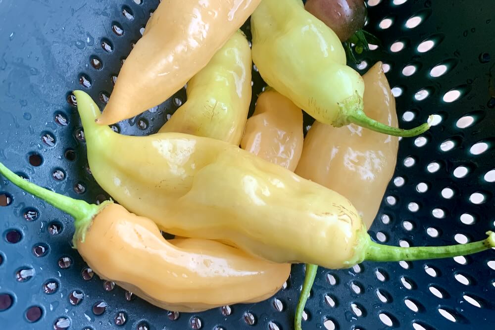 Spicy Cajun Chicken with Bell Peppers