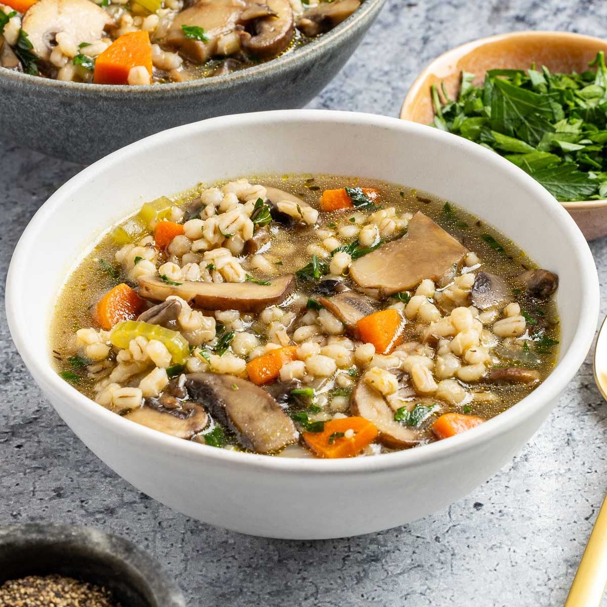 Spiced Northern Forest Mushroom and Barley Soup