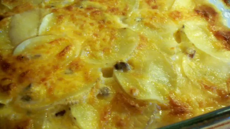 Herb-Crusted Cheesy Scalloped Potatoes