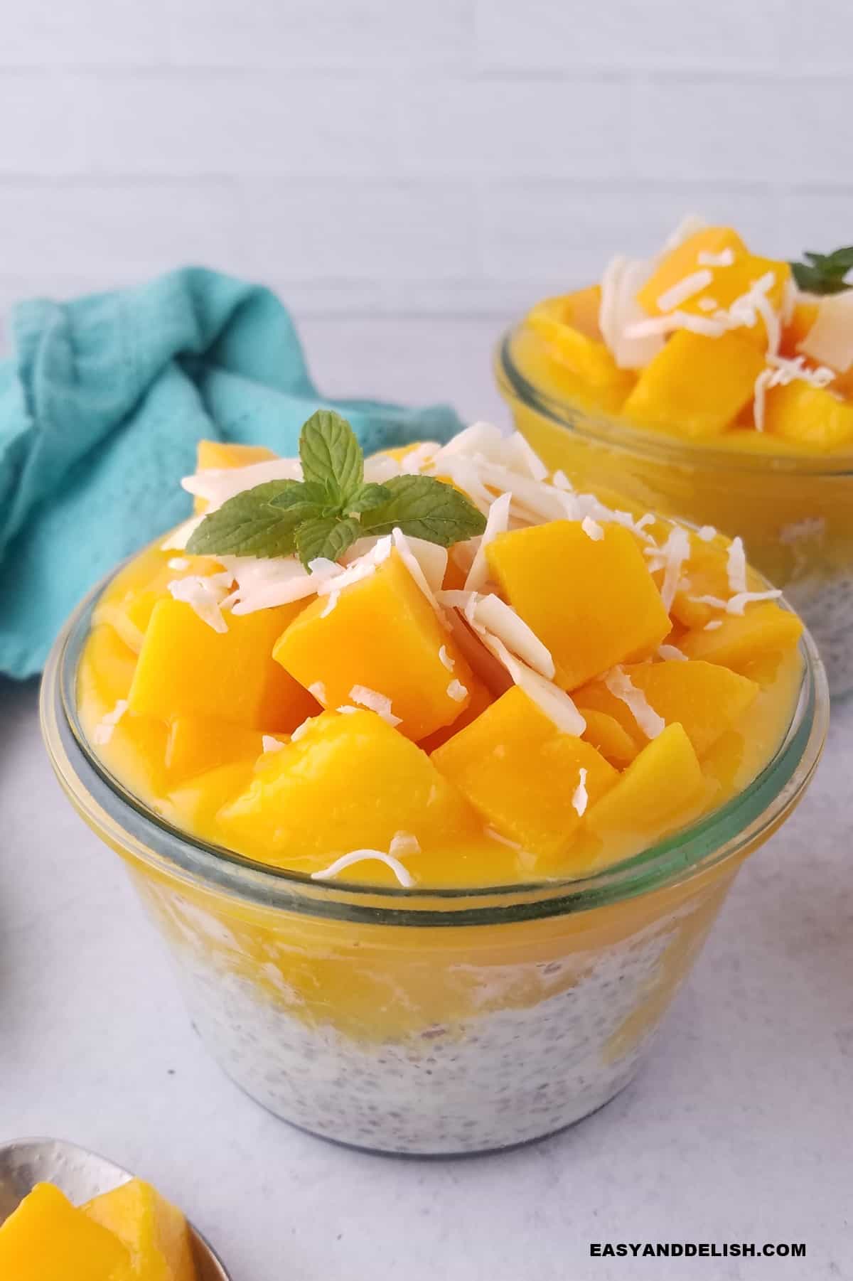 Gluten-Free Vegan Mango Coconut Chia Pudding