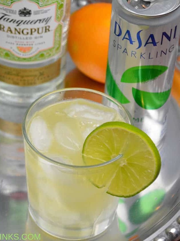 Citrus-Infused Gin Imbibe Cocktail