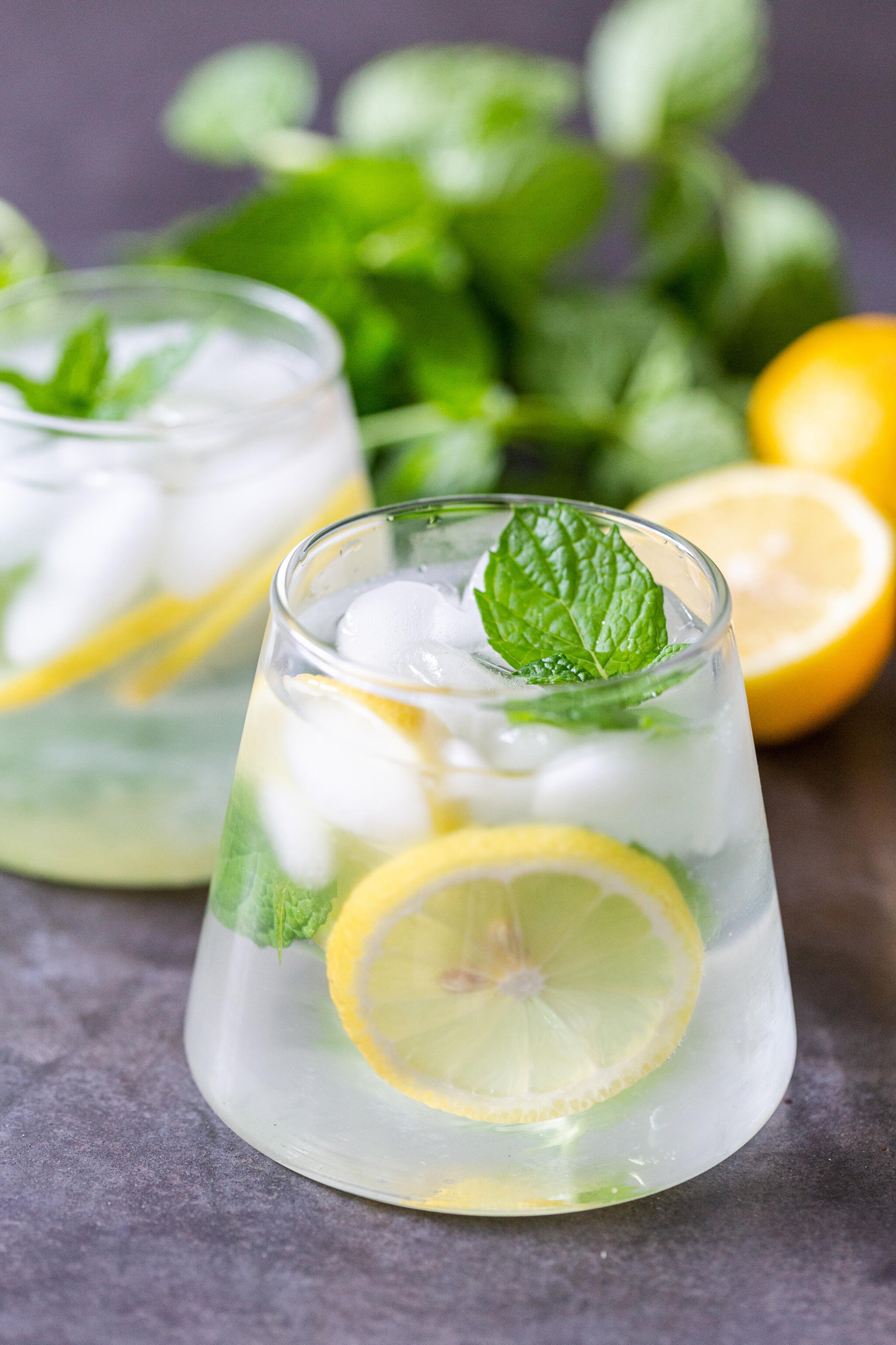 Citrus-Mint Infused Sparkling Water