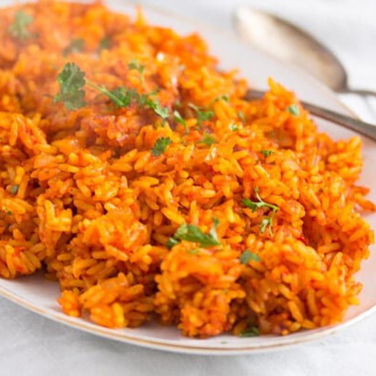 Spiced Nigerian Jollof-Inspired Tomato Rice