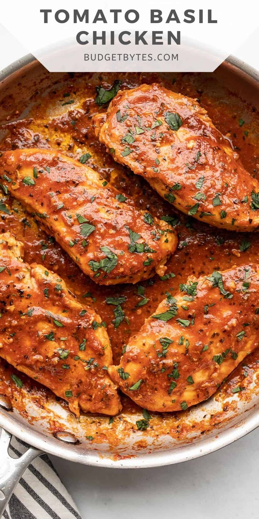 Sautéed Chicken with Tomato and Basil Ragout