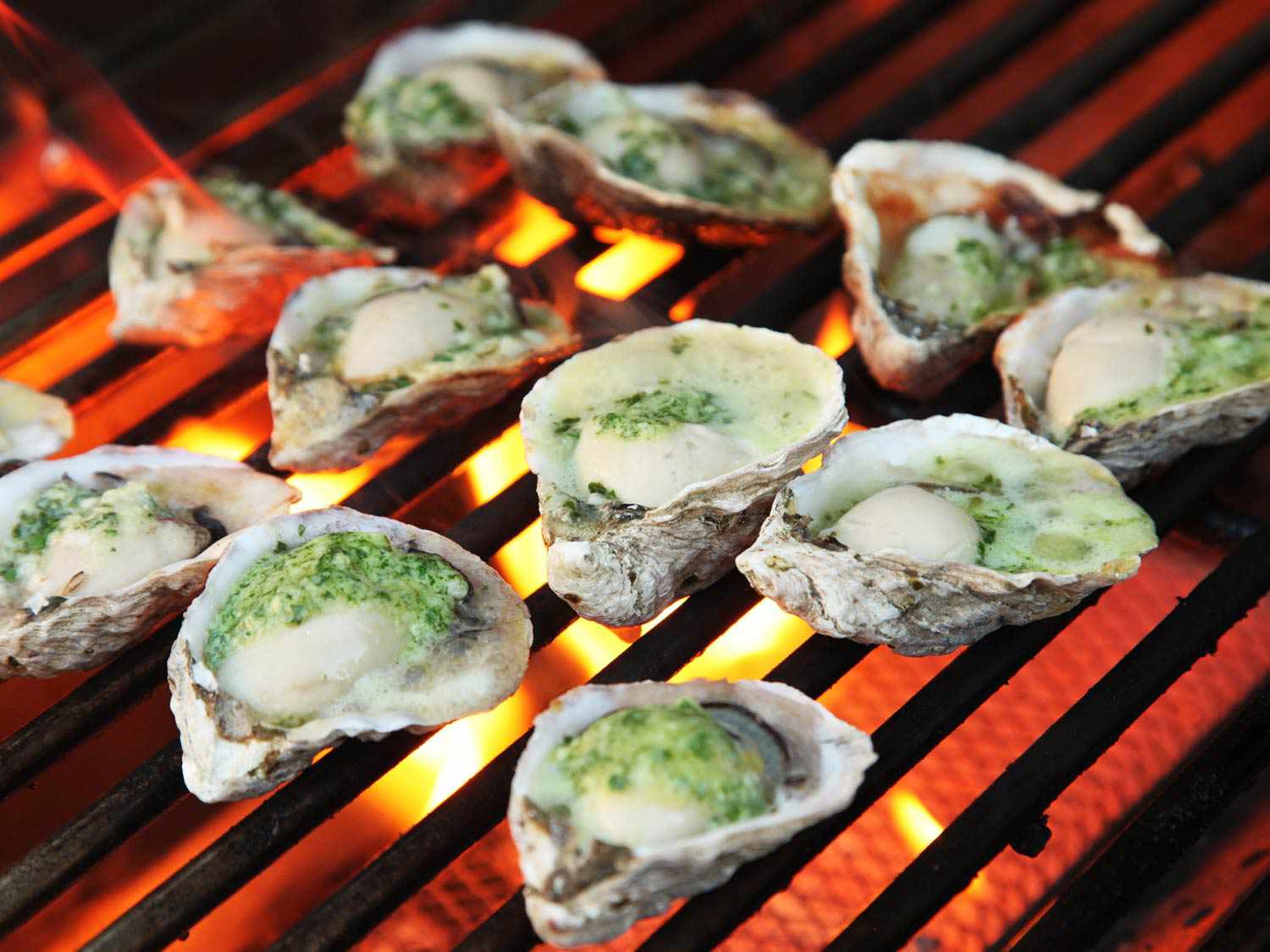 Grilled Half-Shell Oysters with Garlic-Parsley Butter