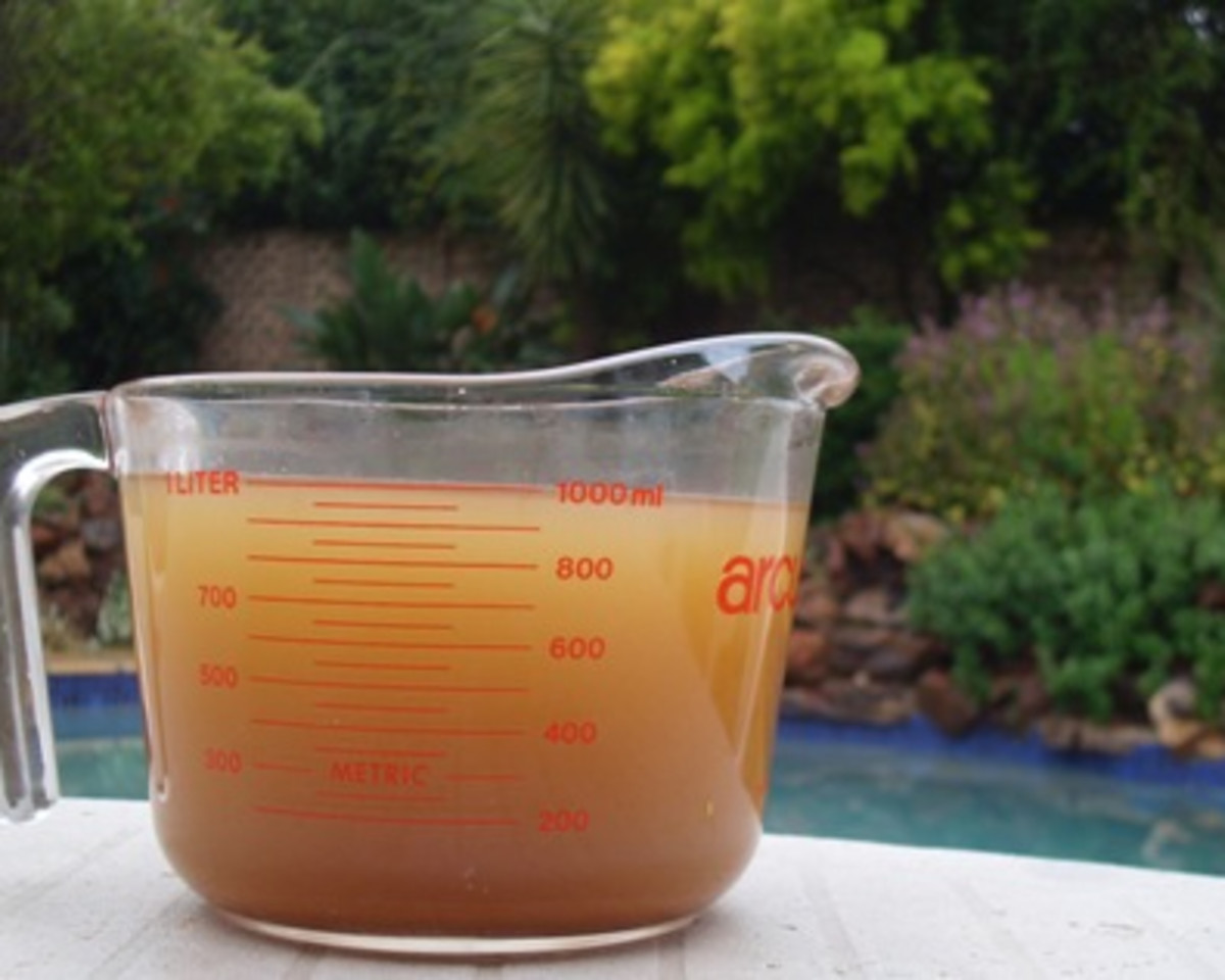 Sunrise Vegetable Broth