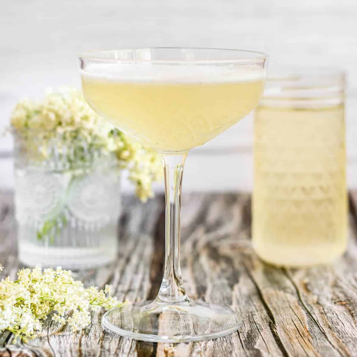 Herb-Infused Gin Sour with Elderflower and Lemon
