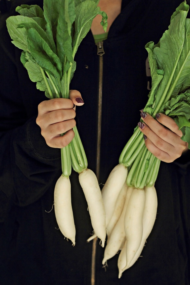 Radish & Dill Salad with Lemon-Honey Dressing