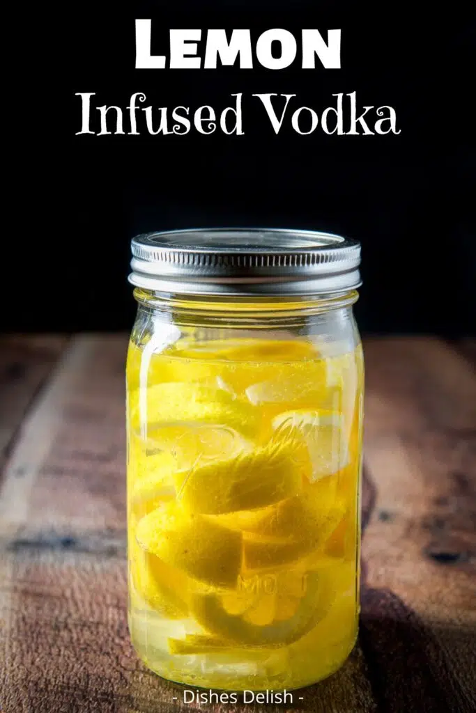 Citrus-Infused Vodka Collins with Fresh Lemon and Soda
