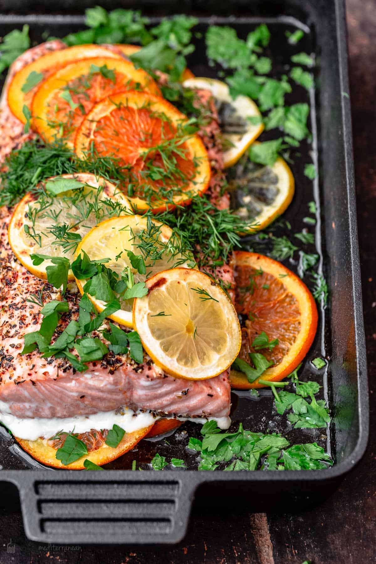 Vintage Martin Guitar-Style Citrus-Infused Salmon