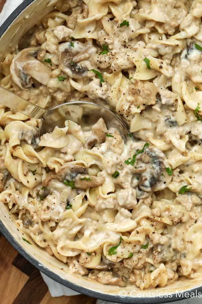 American Beef and Mushroom Stroganoff