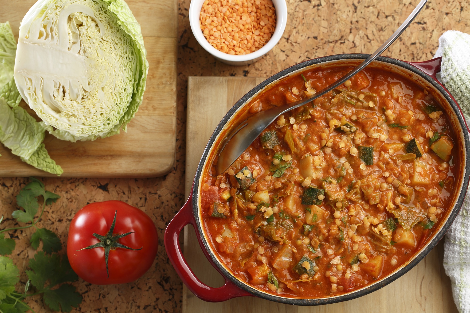Vegetarian's Best Lentil and Vegetable Stew