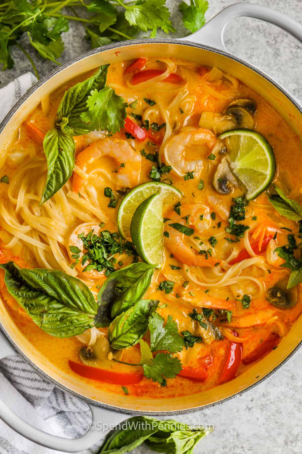 Authentic Era-Style Coconut Curry Soup