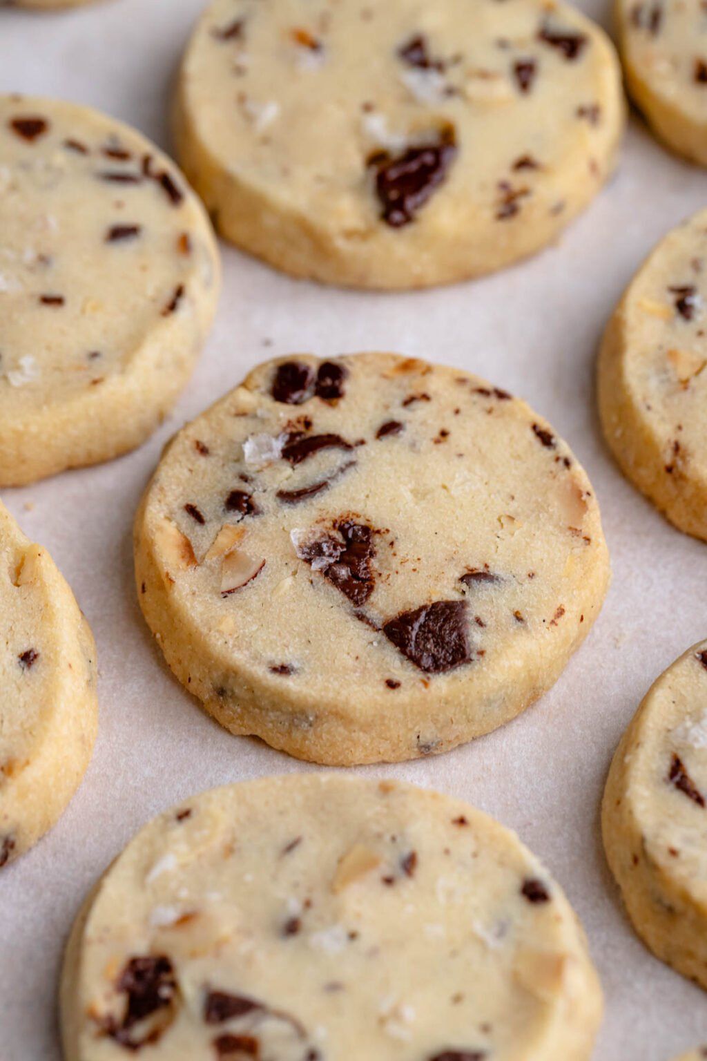 Artisanal Chocolate-Hazelnut Sablé Cookies