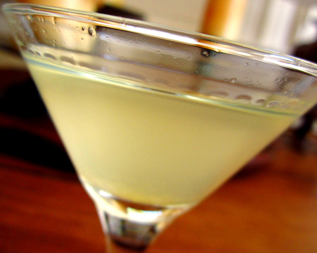 The Absorbent Martini