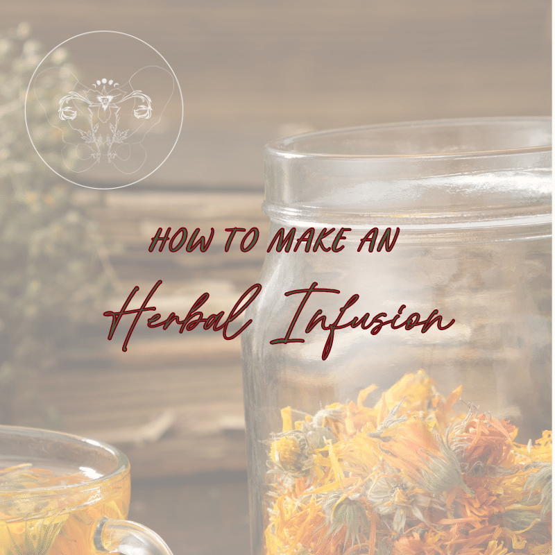 Herbal Infusion Imbibe