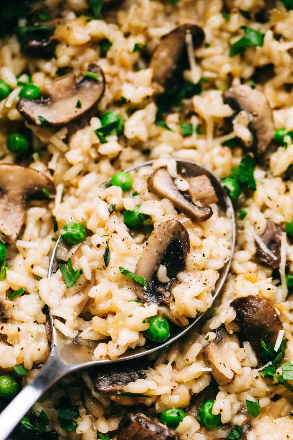 Best-Ever Mushroom Risotto