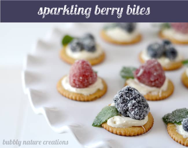 Auction Winner's Berry Bites