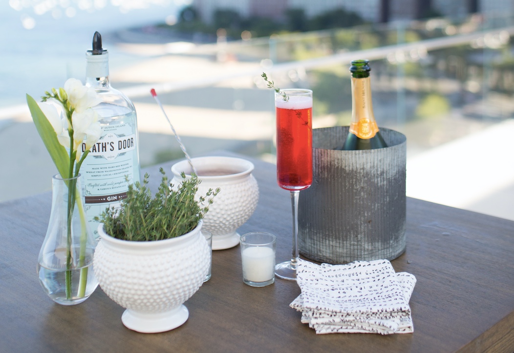 Blackberry Shrub Spritzer