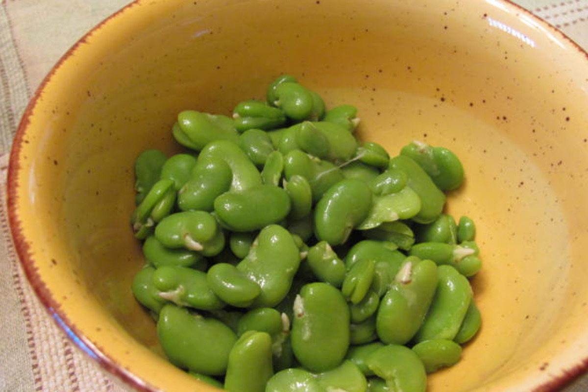 Slow-Simmered Spiced Fava Beans with Lemon Zest