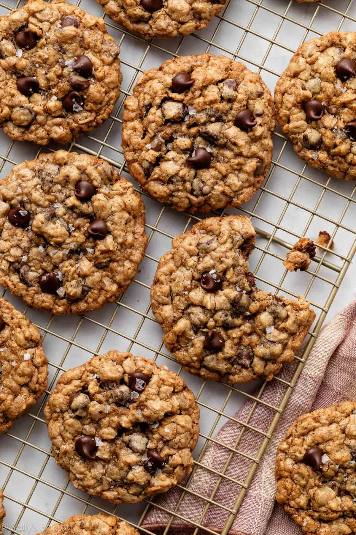 Decadent Chewy Chocolate Chip Cookies