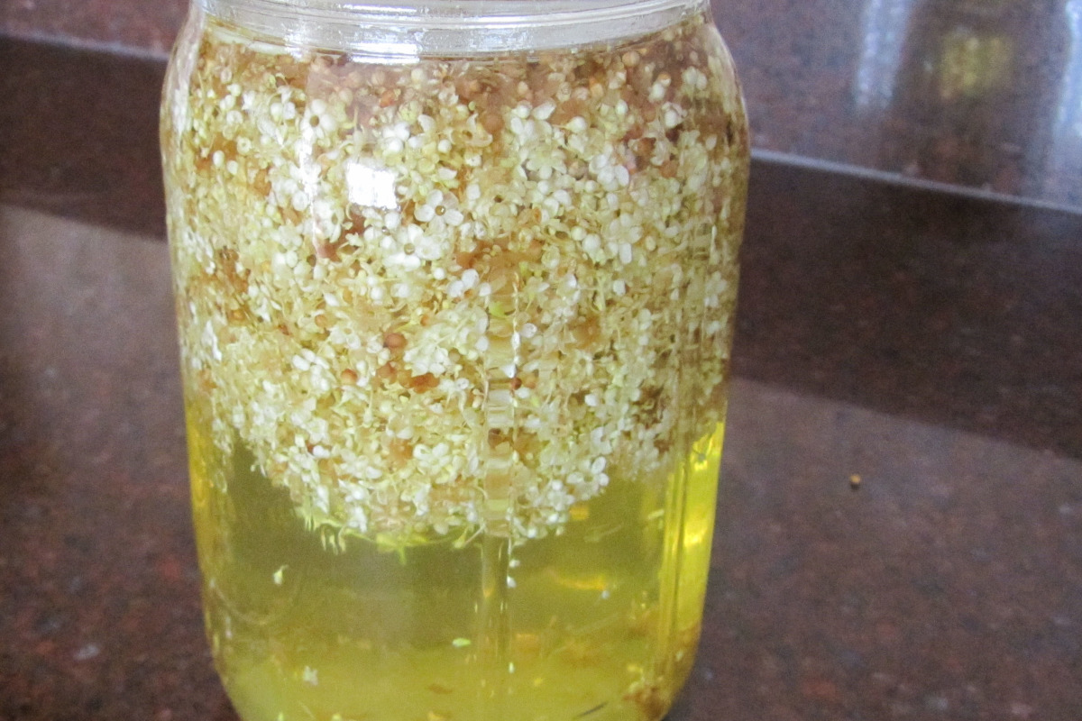 Elderflower & Lemon Gin Elixir