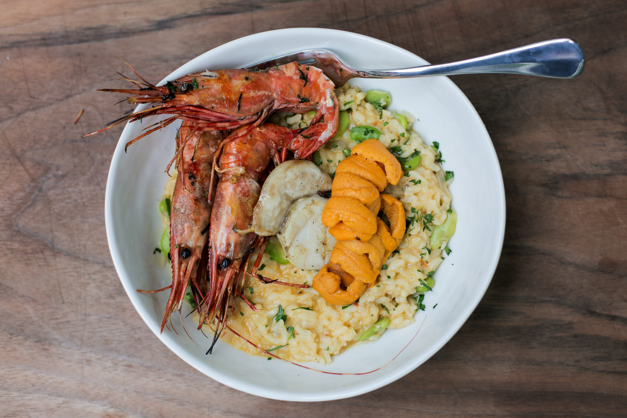 Mediterranean Sea Urchin Risotto with Prawn