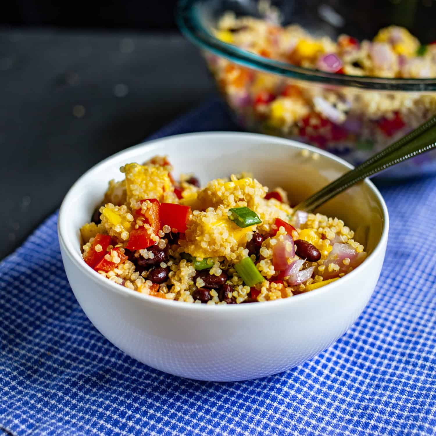 Mango & Black Bean Quinoa Salad with Citrus Vinaigrette