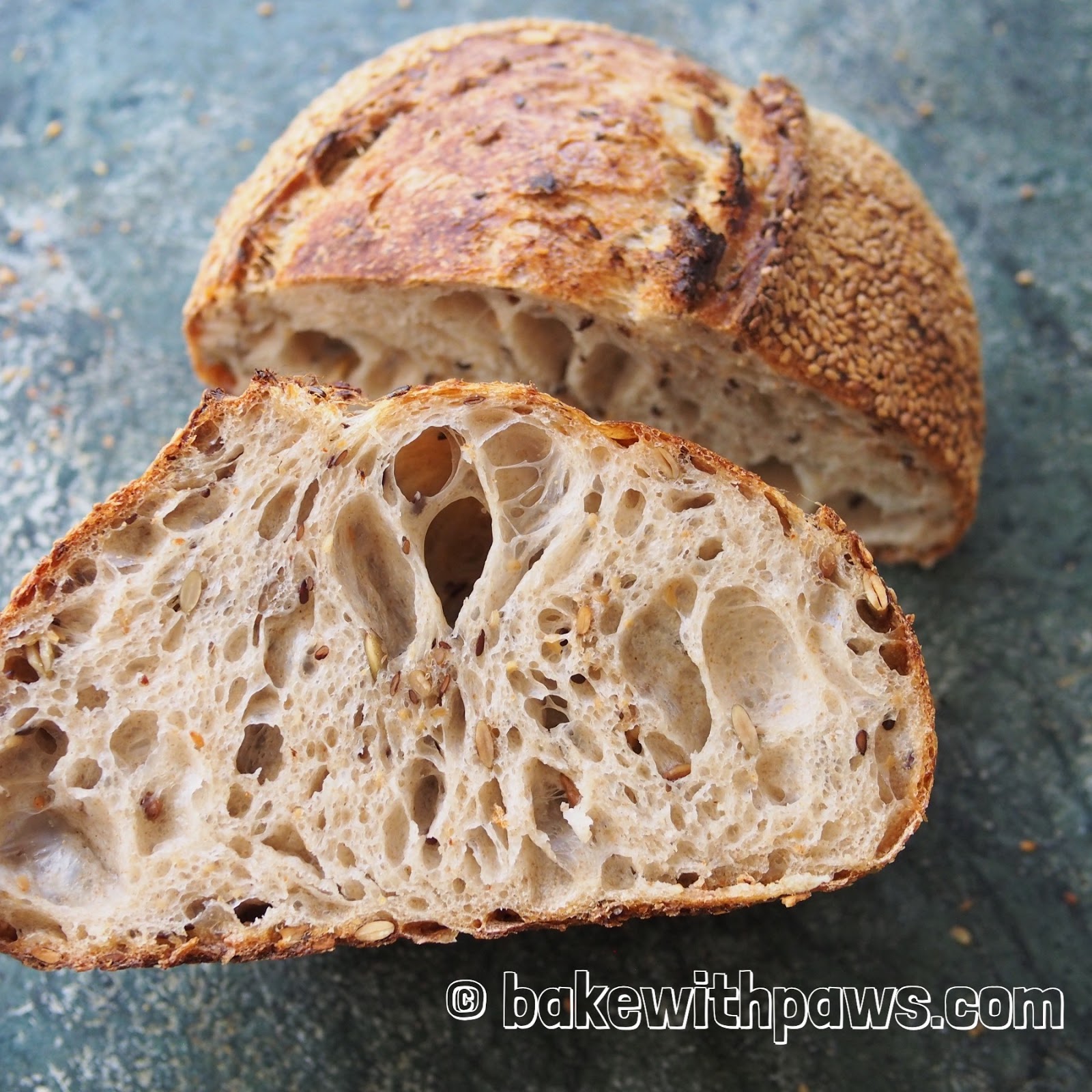 Golden Crust Sourdough Bread