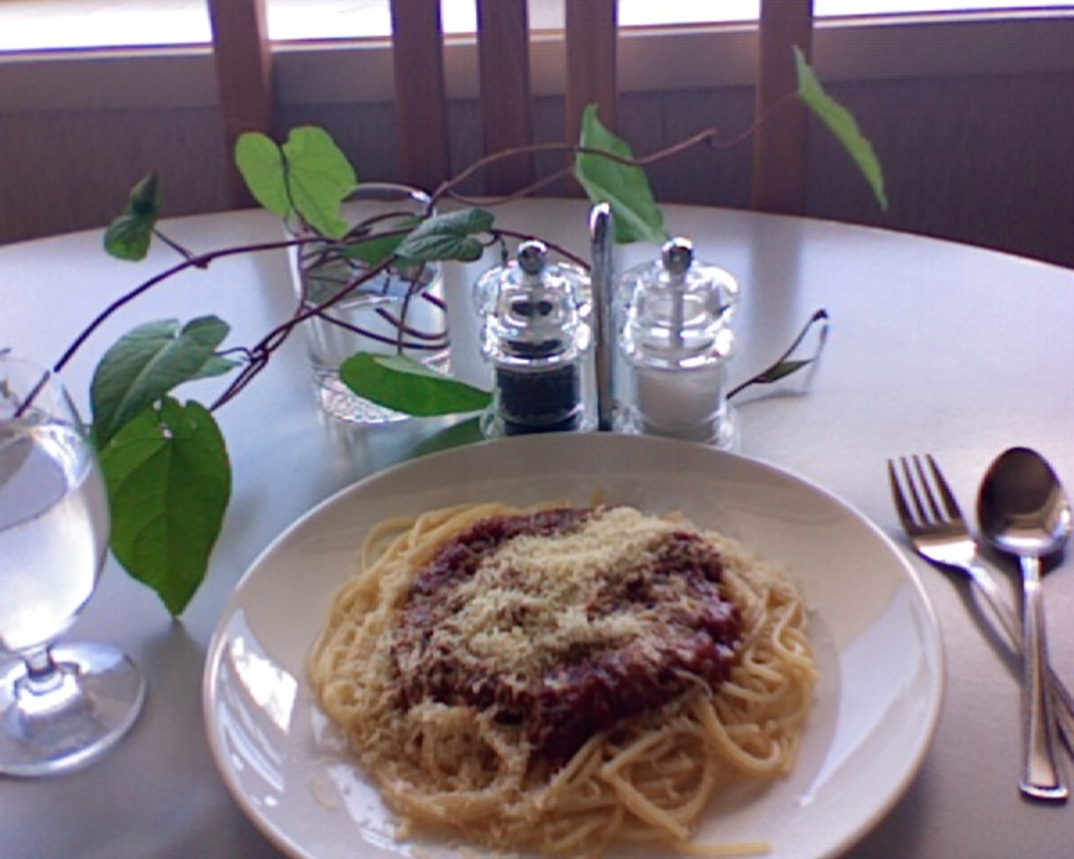 Timeless Wisdom Spaghetti