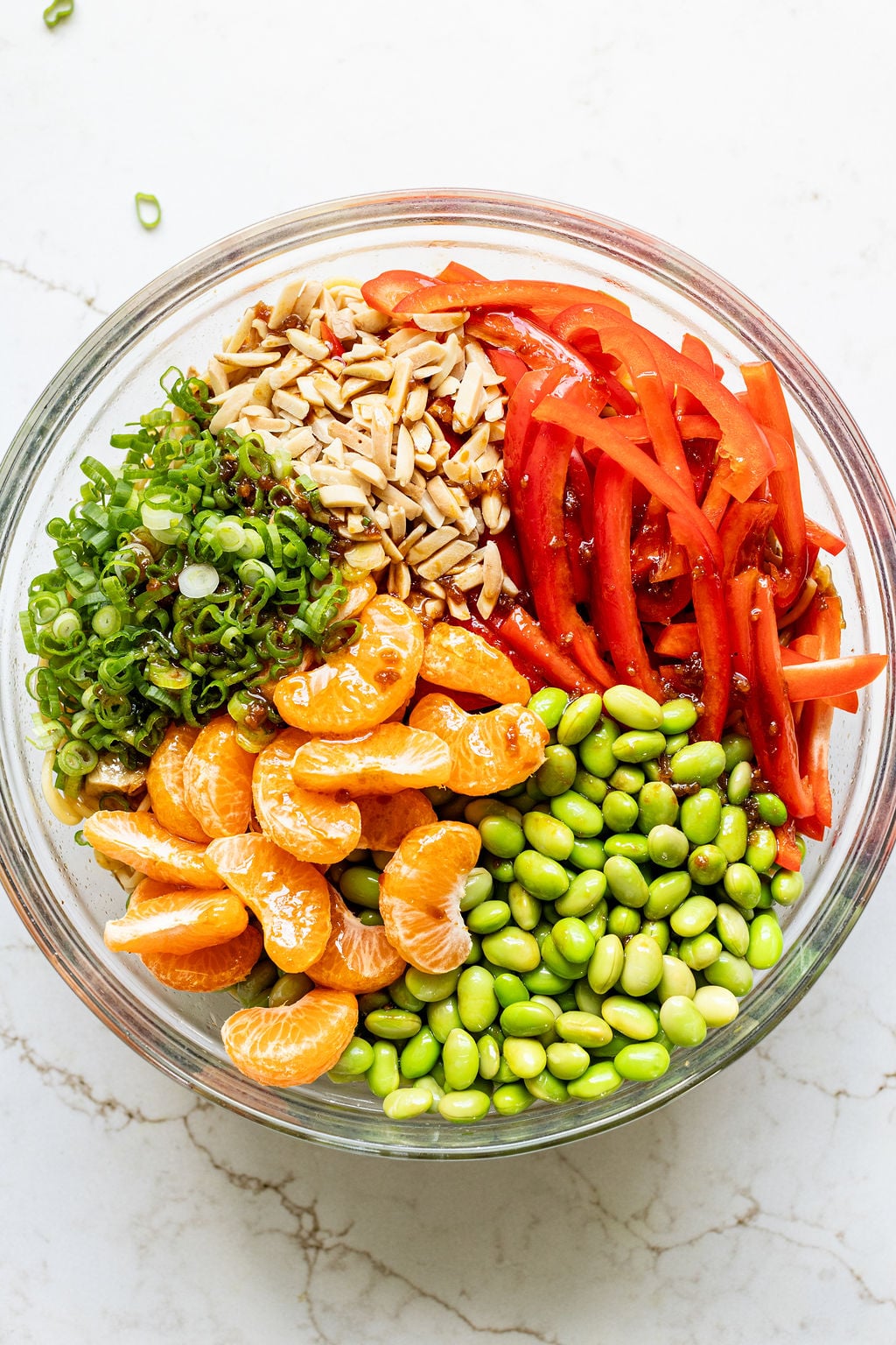 Heron's Stretch Noodle Salad with Sesame-Ginger Dressing