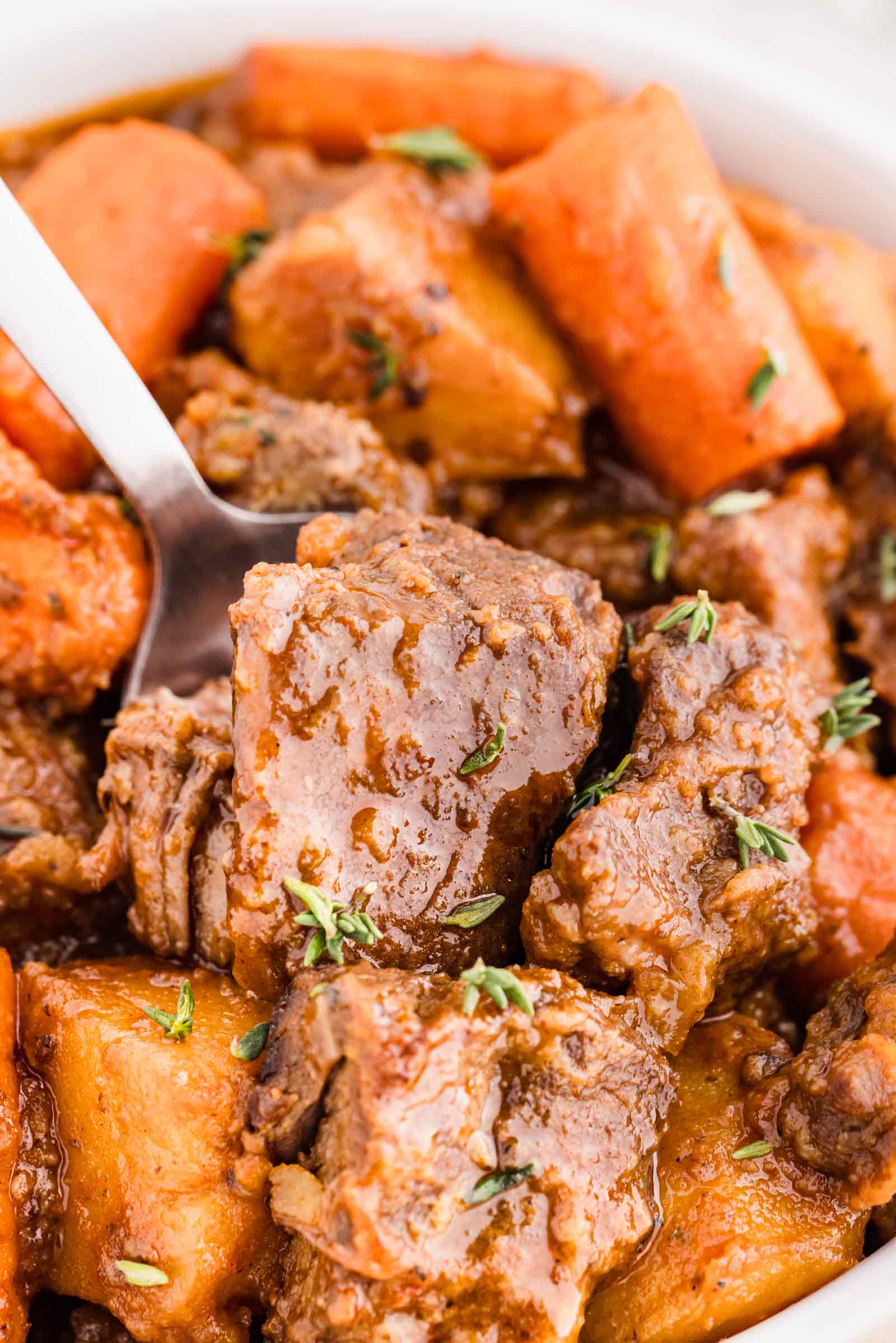 Alaskan Venison & Wild Onion Stew