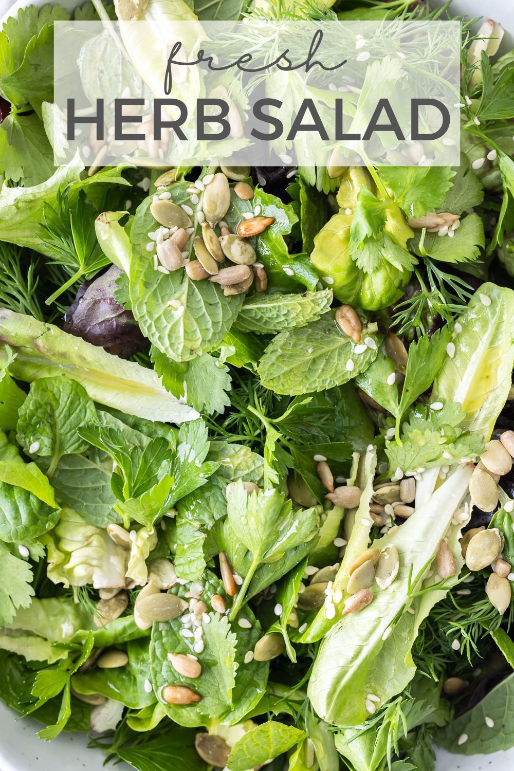 Multilingual Herb Salad with Citrus Vinaigrette