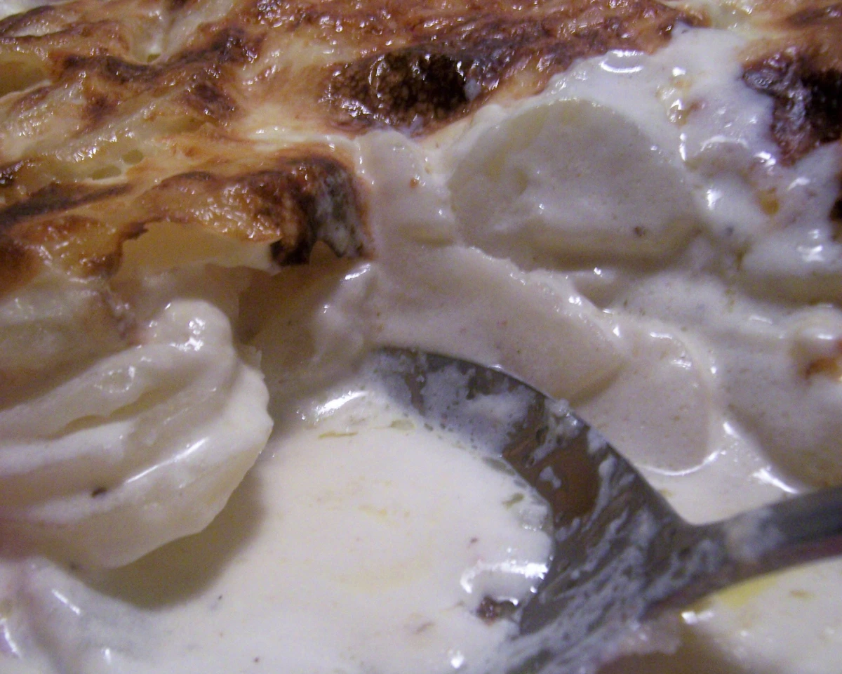 Layered Authentic Potato Gratin