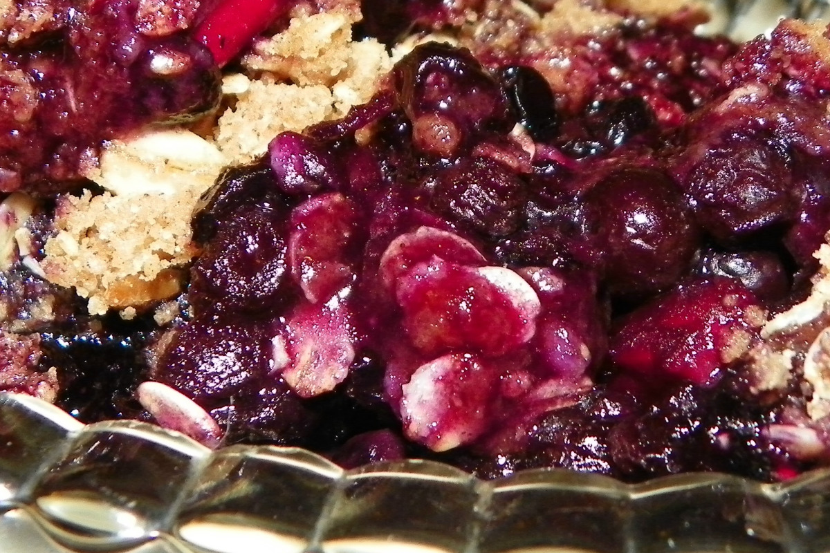 Minnesota Wild Blueberry Crisp