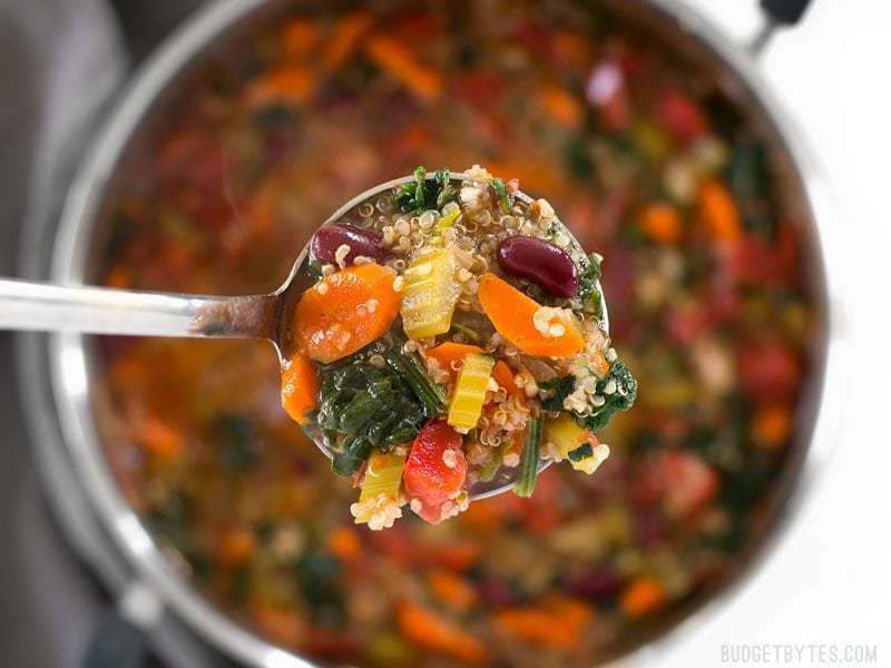 Johnson's Garden Vegetable & Quinoa Soup