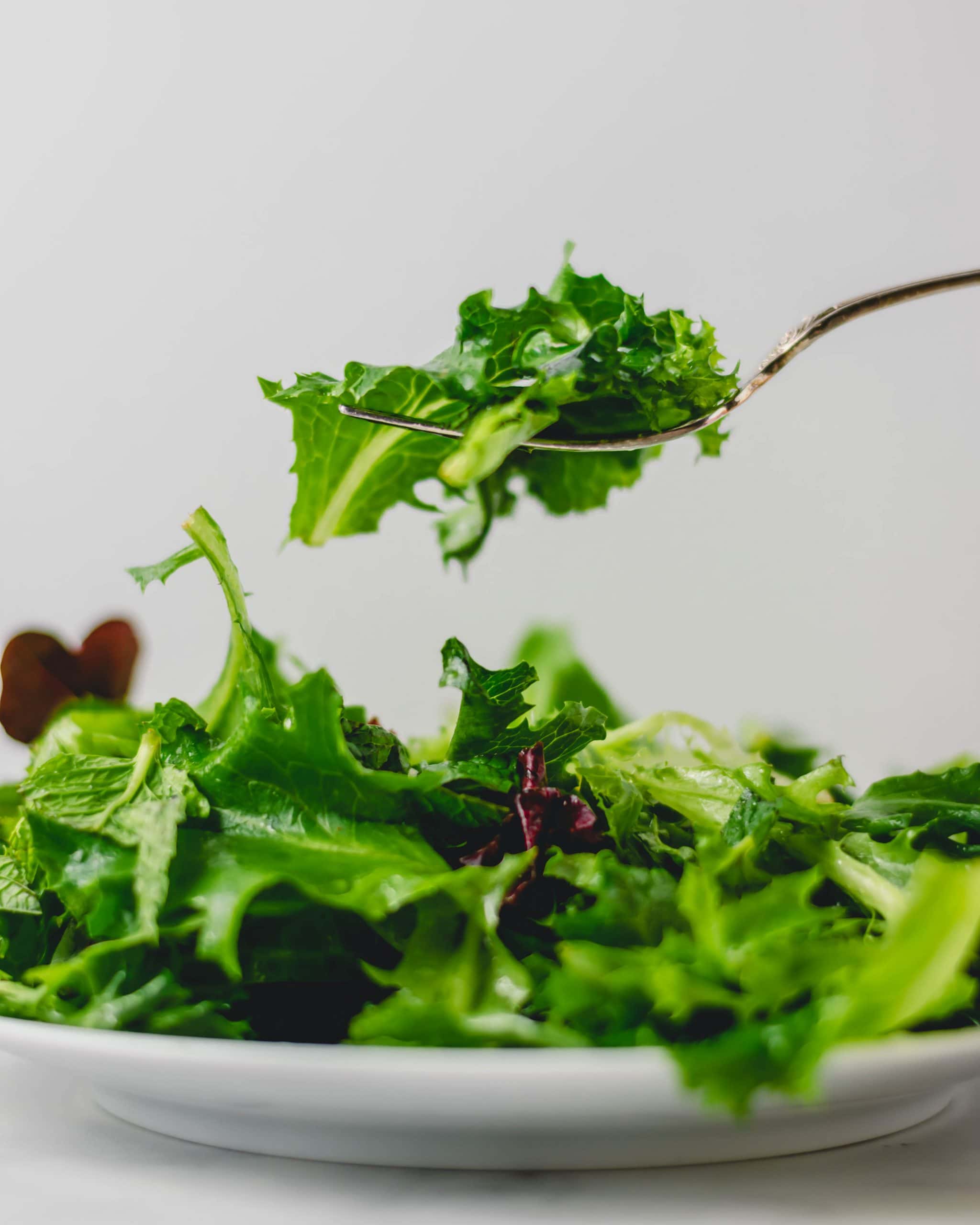 GardenWeb Herb Salad