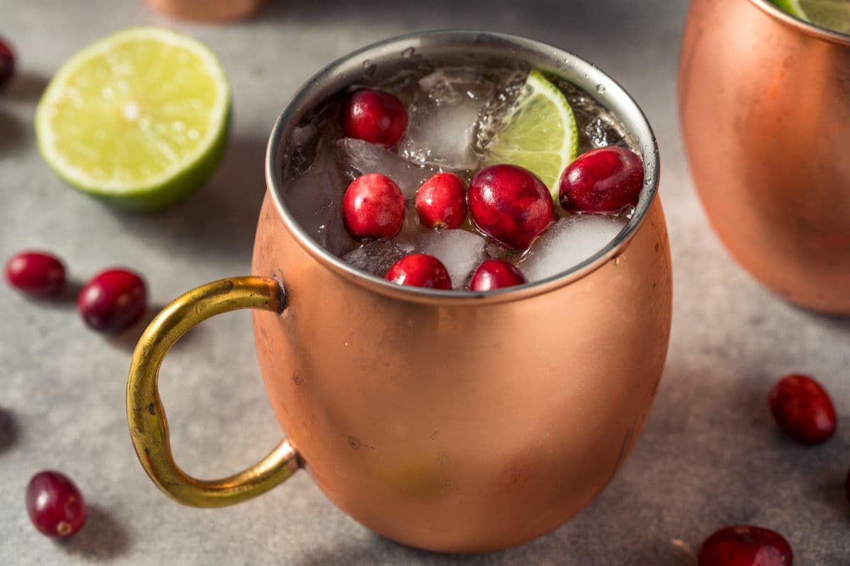 Winter Absorption Mule