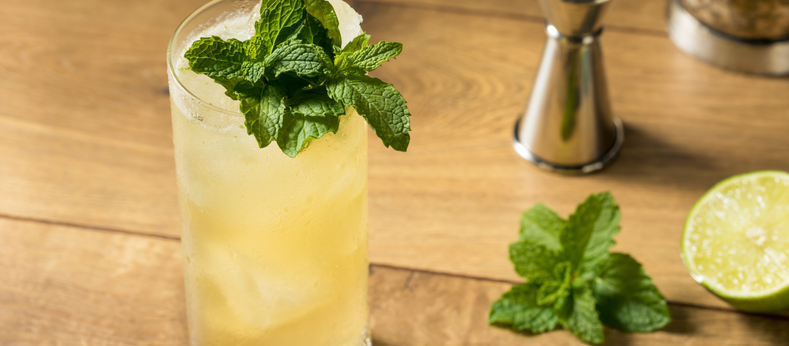 GinFizz Mule