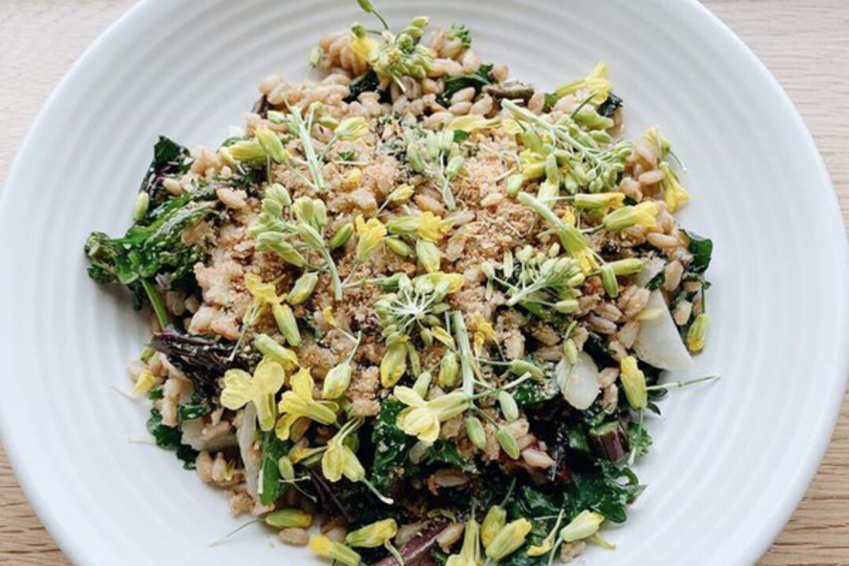 Spring Initializr Grain Bowl
