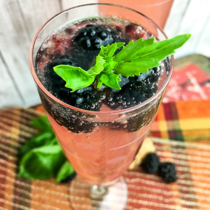 Citrus Basil Sparkler