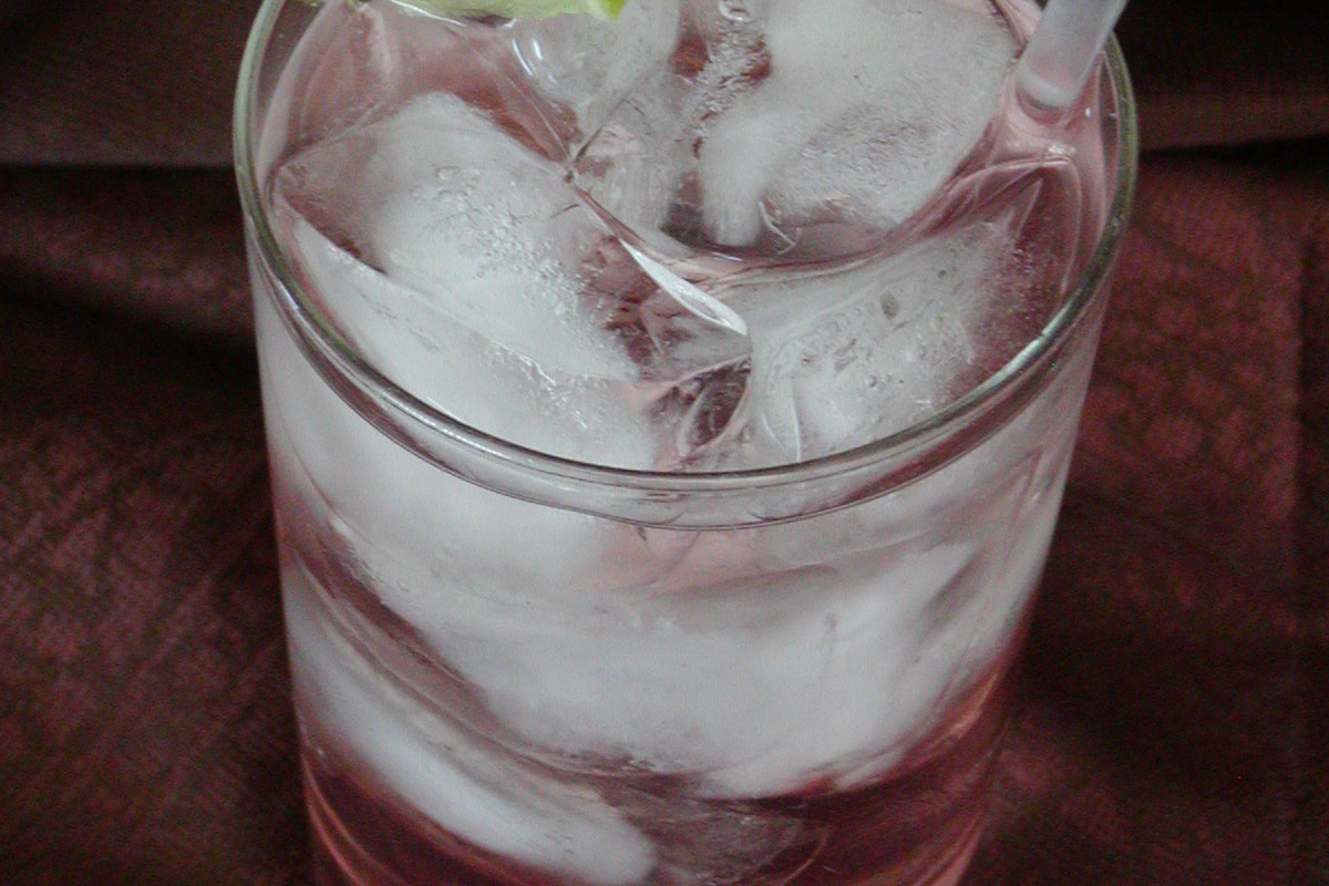 Slow-Sip Gin Tonic